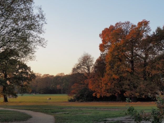 Notre vie en Angleterre (semaine 11) : un anniversaire à l’anglaise et 48h à Paris !