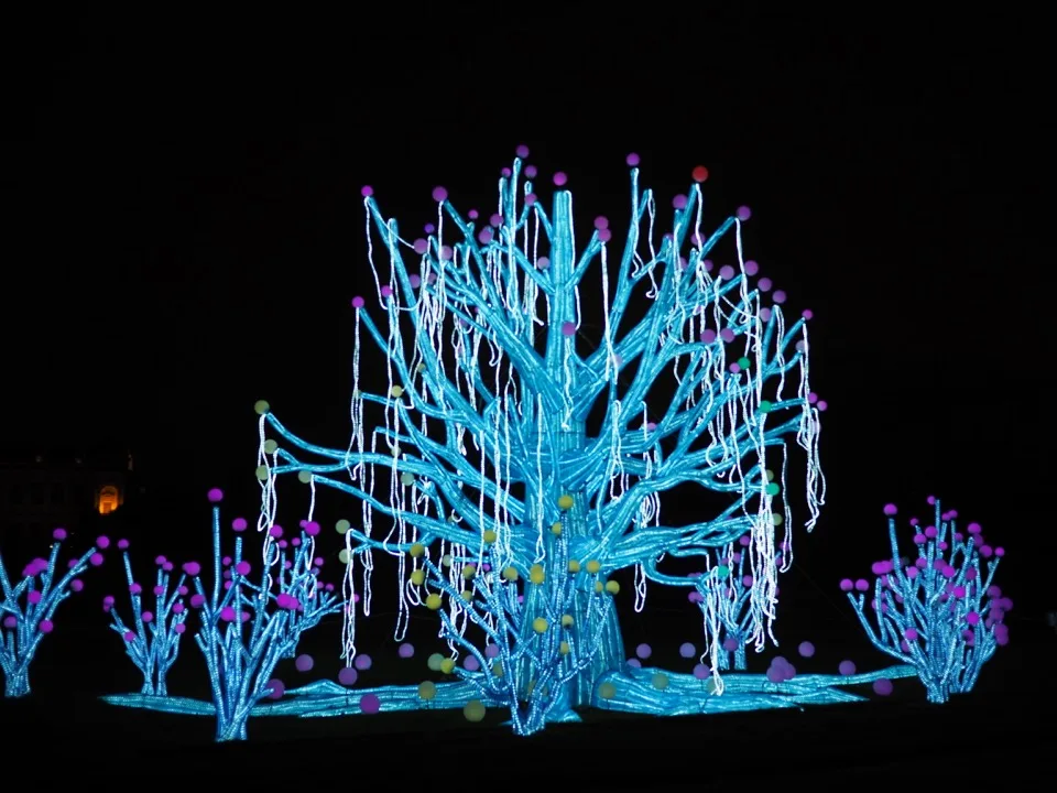espèces en voie d'illumination