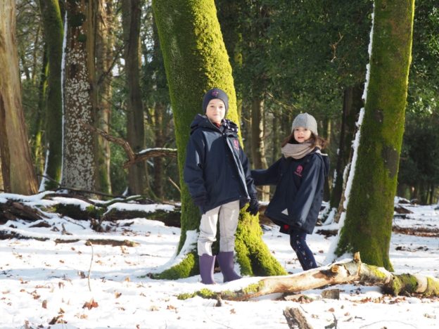 Notre vie en Angleterre (semaine 19) : les premiers flocons, la folie des perce-neige et la New Forest en blanc