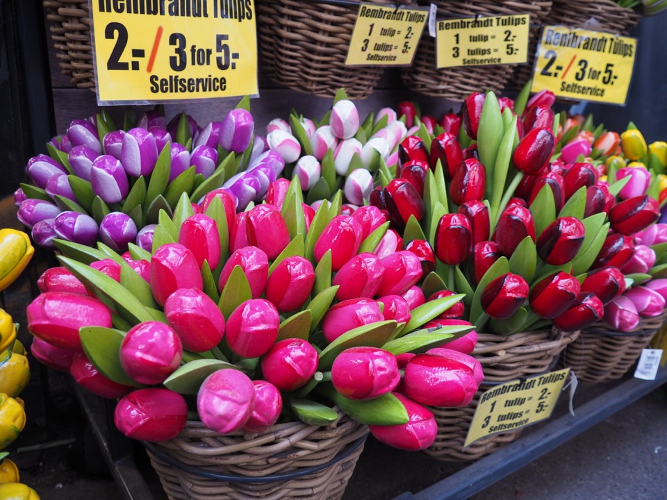 fausses tulipes