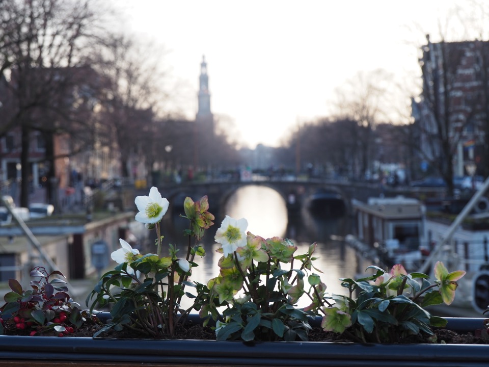 3 jours à Amsterdam