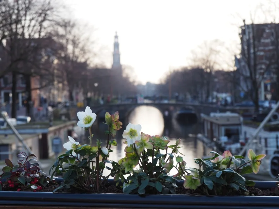 3 jours à Amsterdam