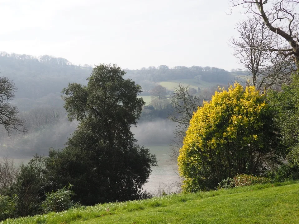 Misty countryside seen from Greenway House