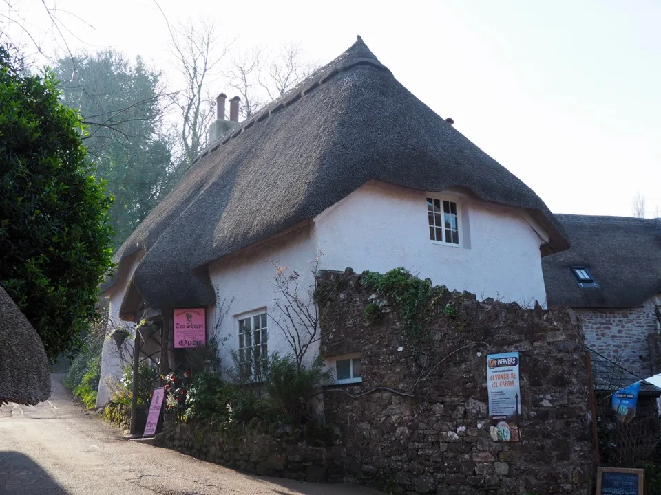 White thatched cottage in Cockington
