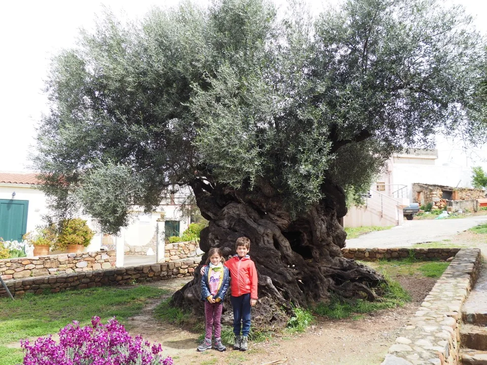 Crete with kids, Greece