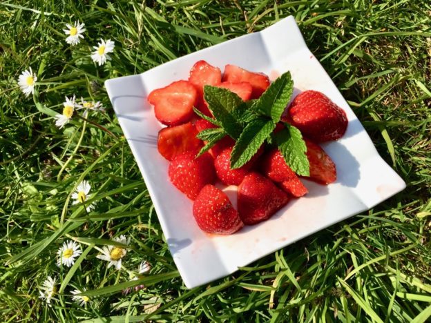 Notre vie en Angleterre (semaine 32) : Strawberry fields forever…