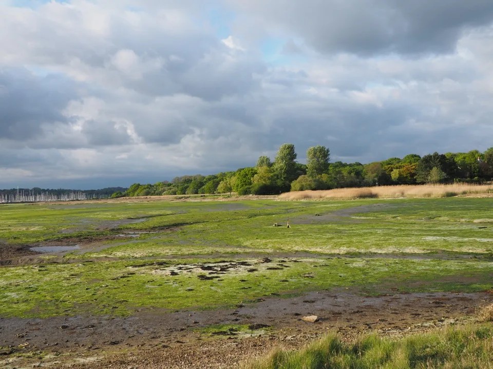 Large marais à marée sous un ciel nuageux