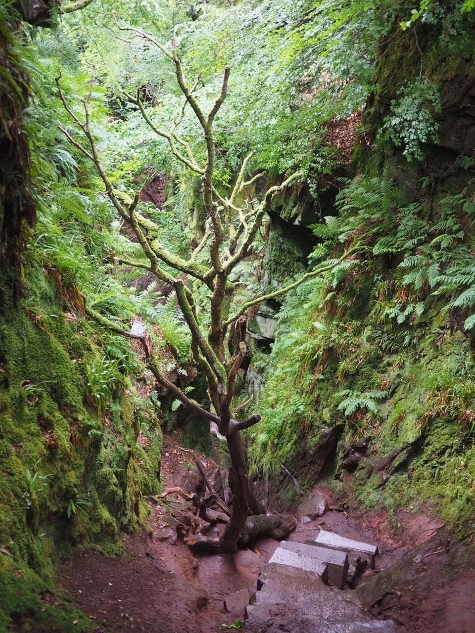 la descente raide, glissante et boueuse : Devils' Pulpit
