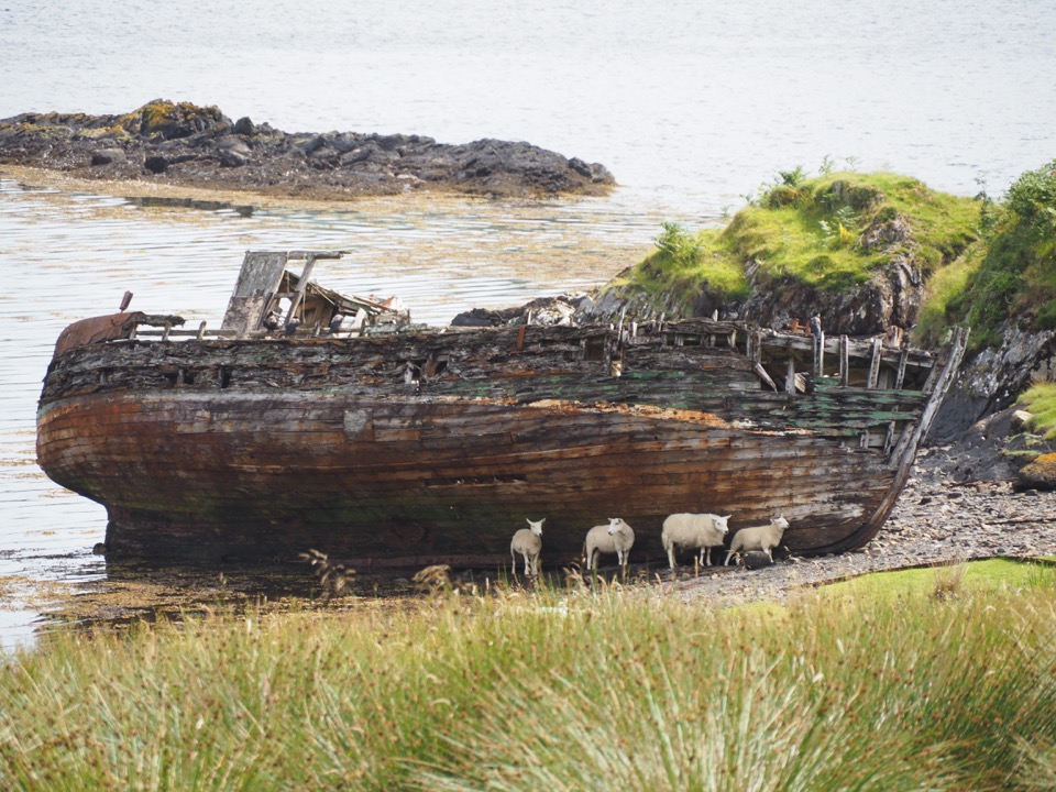 Kerrera Island