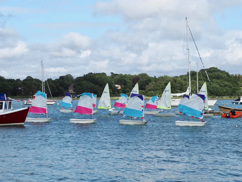 Flotte de canots colorés naviguant près d’une côte boisée