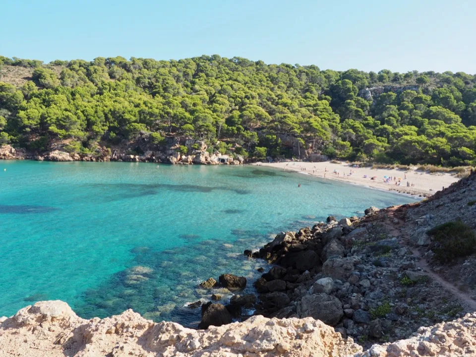 Türkisfarbene Bucht mit Pinien an der Cala des Bot