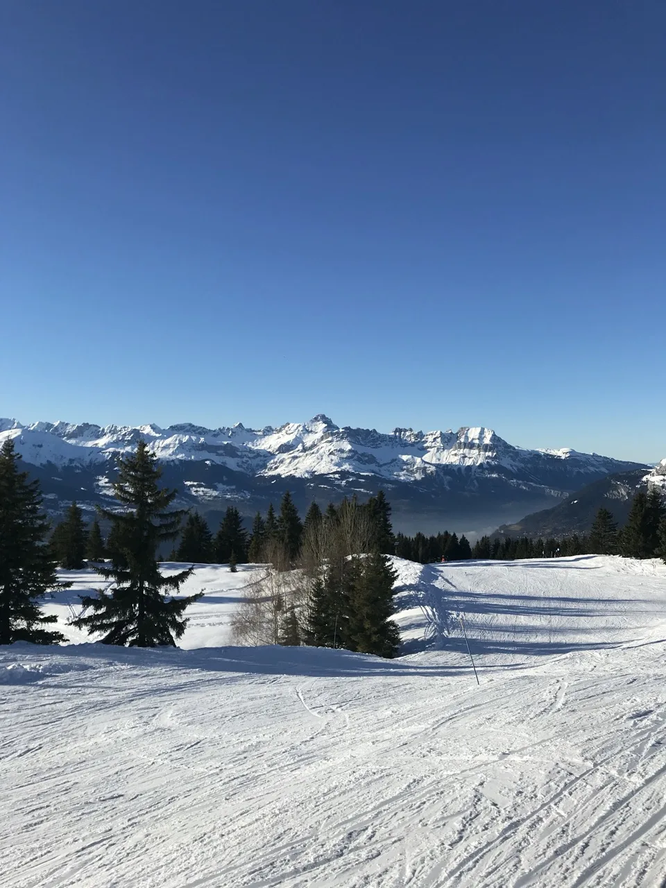 ski a chamonix