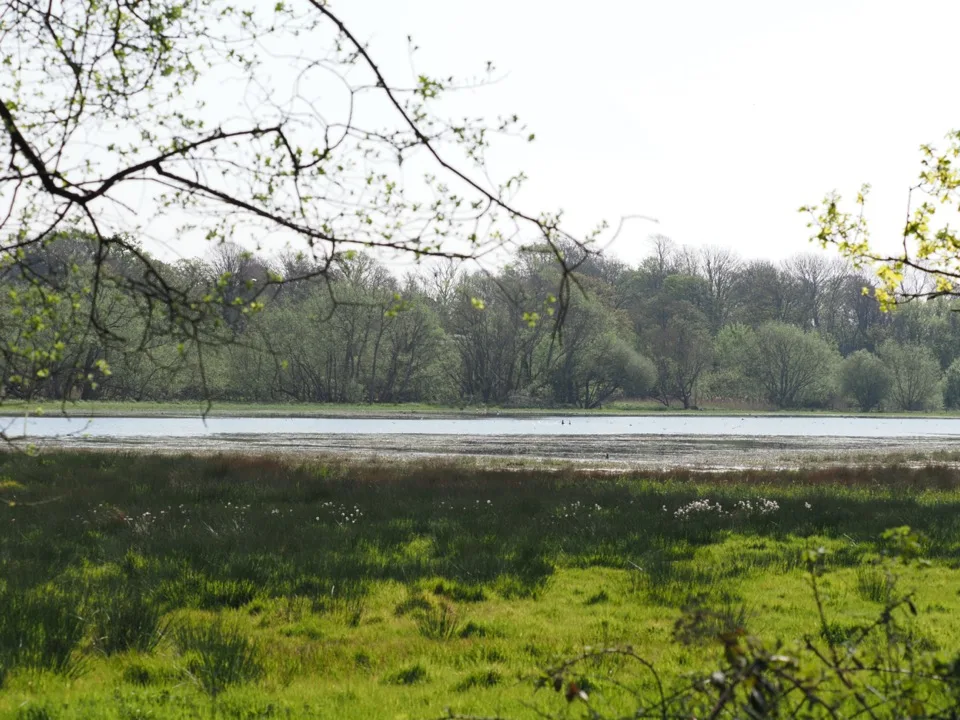 campagne anglaise