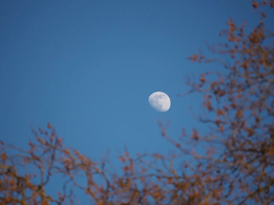 lune