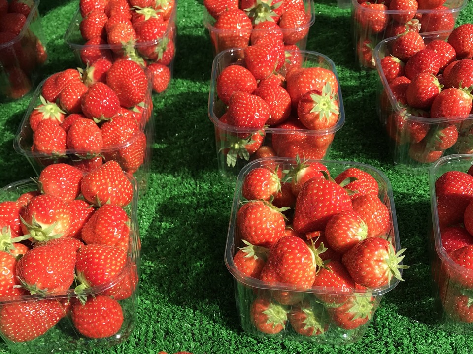 fraise anglaise