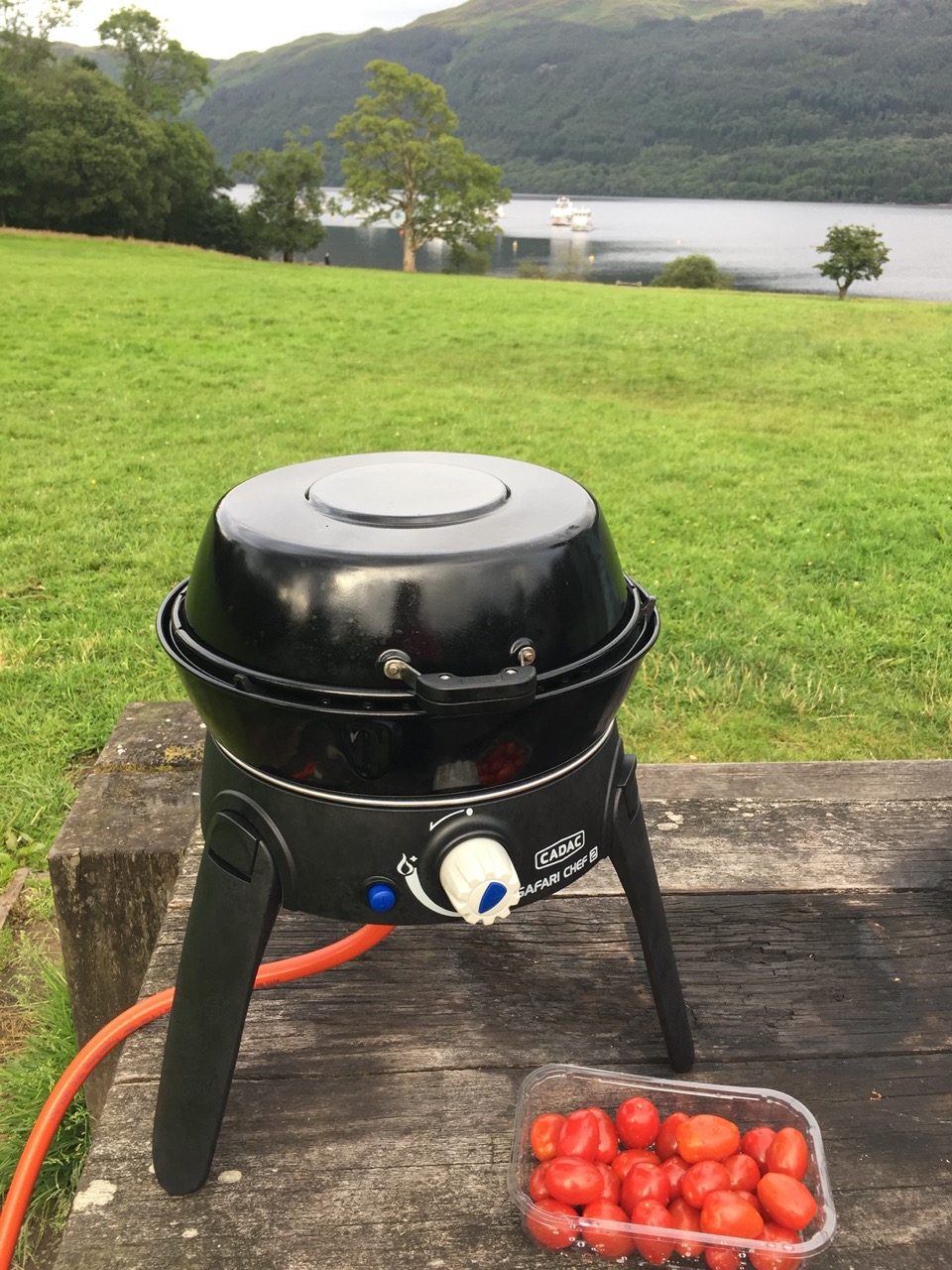 bbq portable