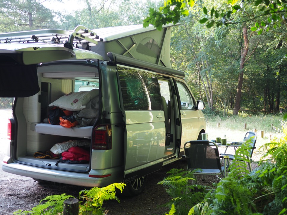 van vw t6