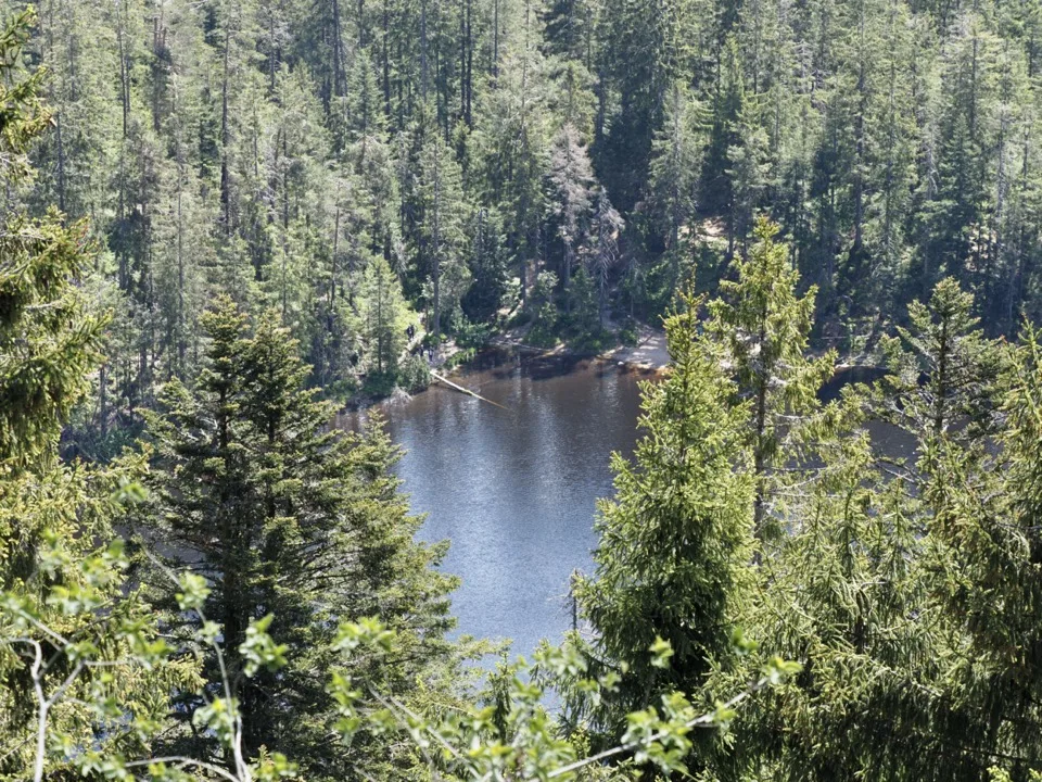 randonnées en famille dans la forêt noire