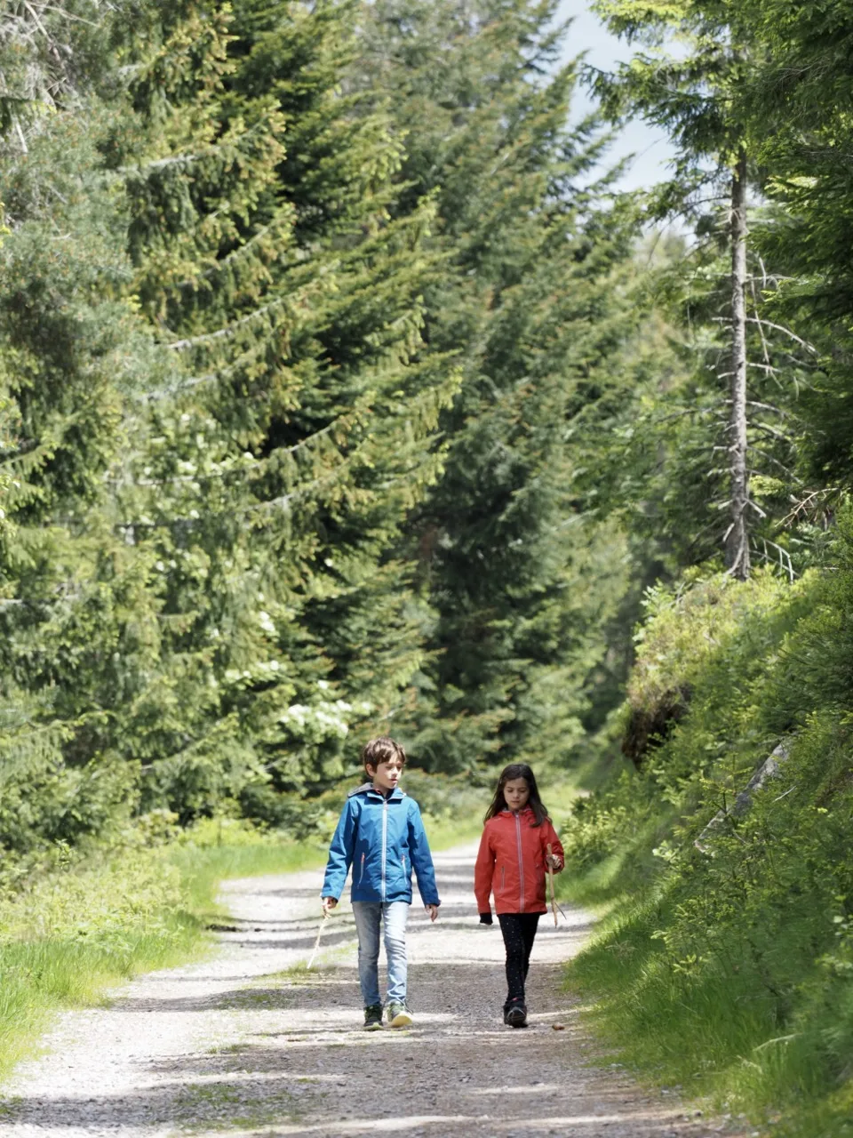 la foret noire en famille