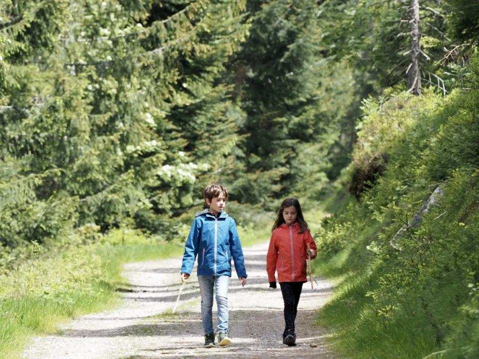 la forêt noire en famille