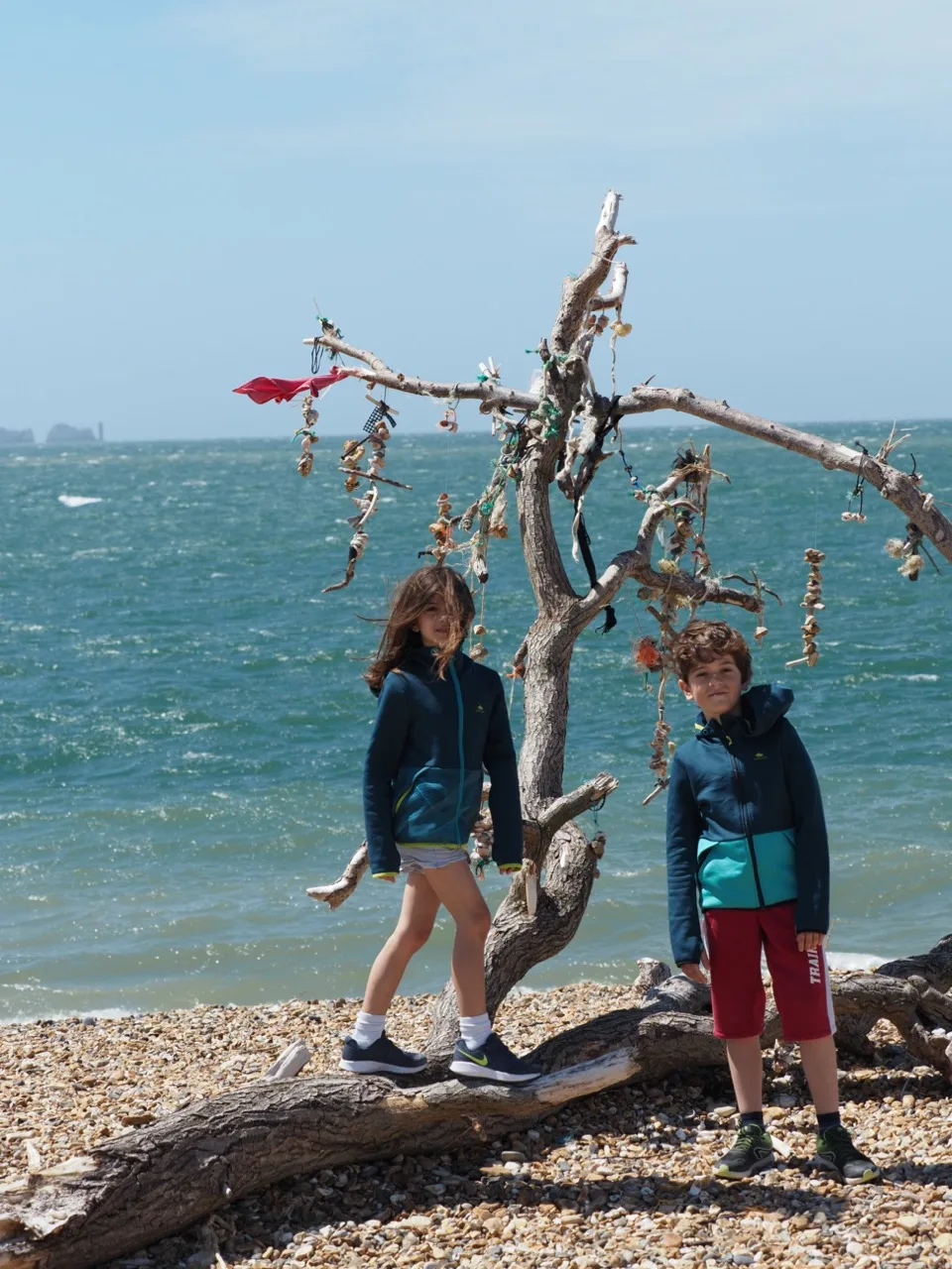 visiter la New Forest