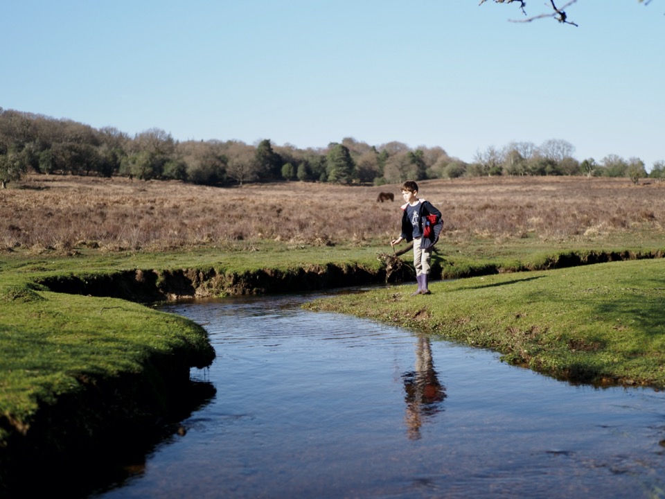 La New Forest en famille : 10 idées d’activités