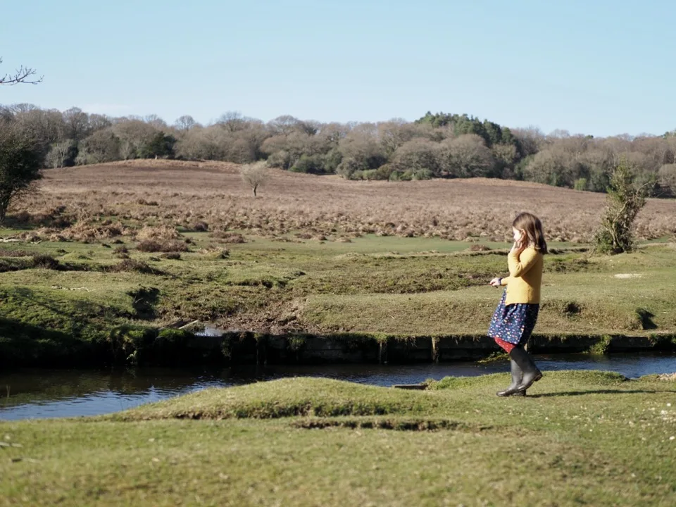 new forest with the kids
