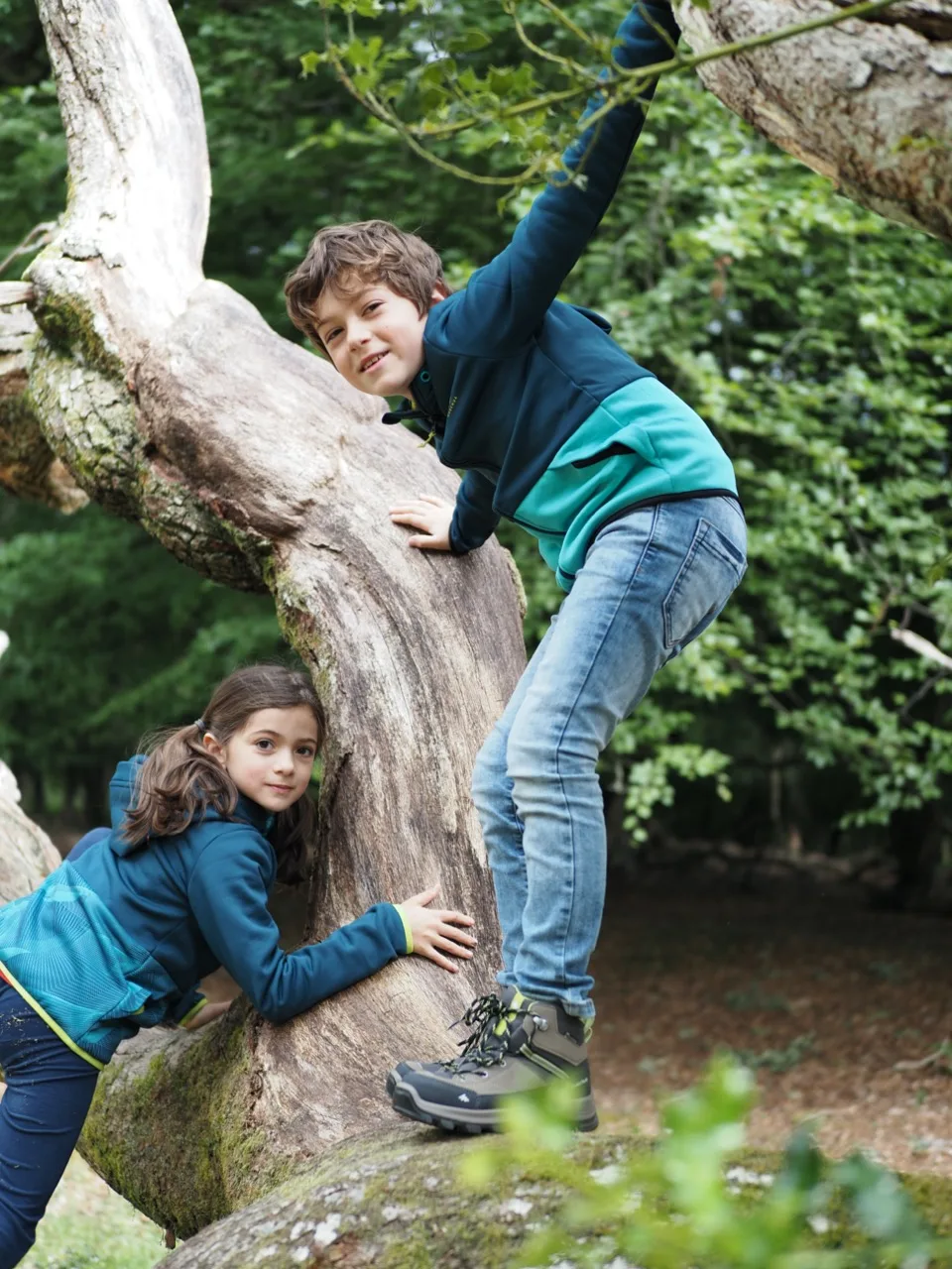 la new forest en famille