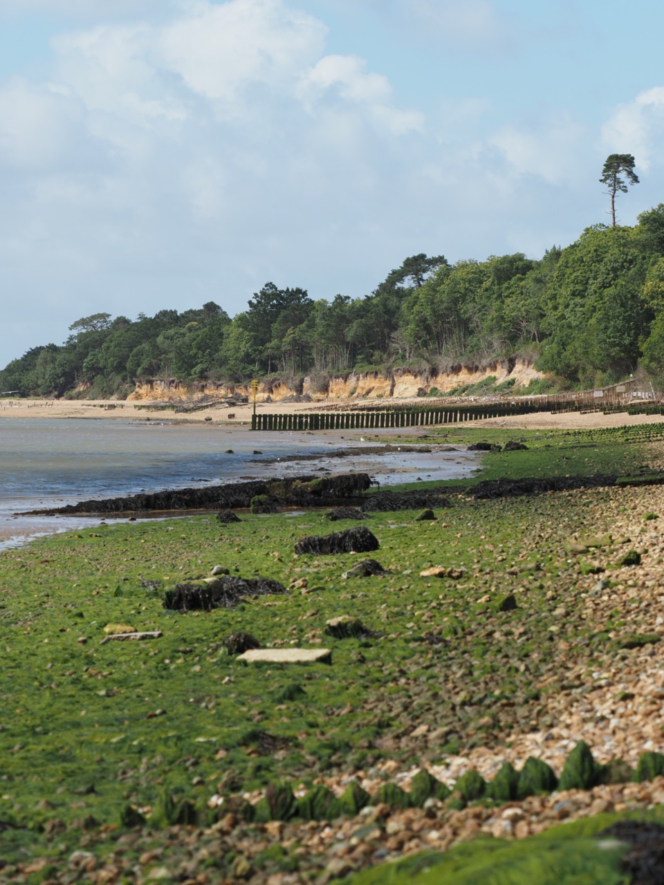 plage hampshire