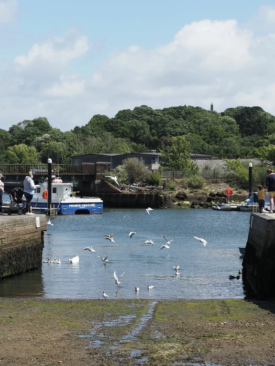 crabbing in Lymington