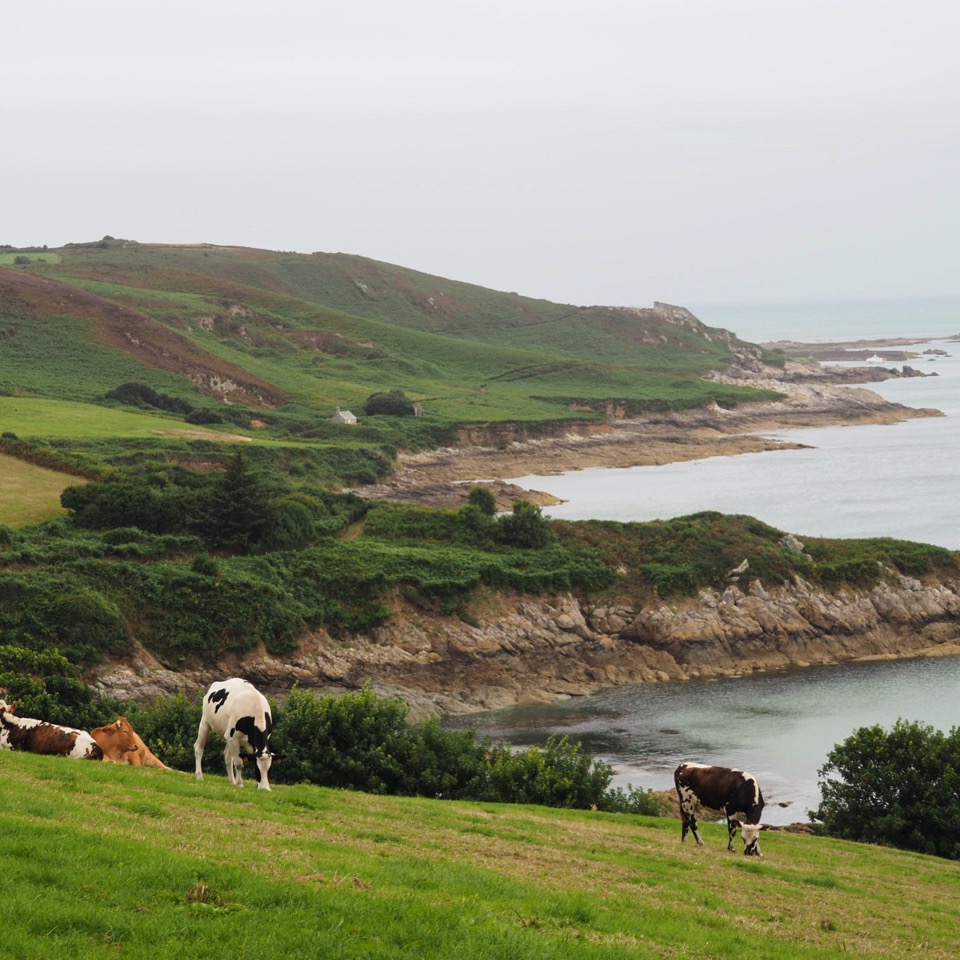 cap cotentin