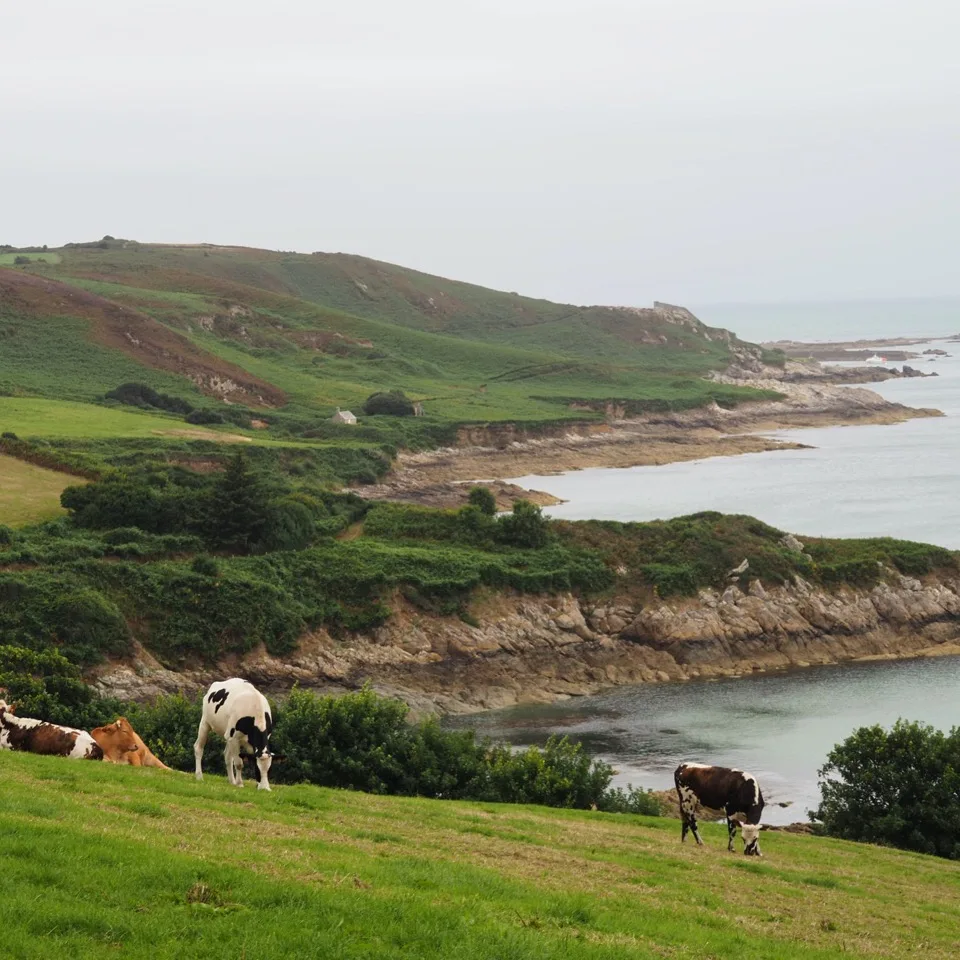 cap cotentin