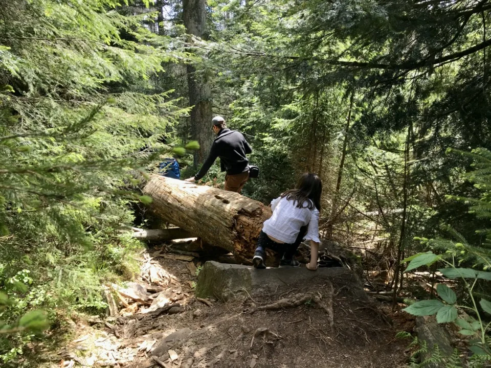randonnées en famille dans la forêt noire