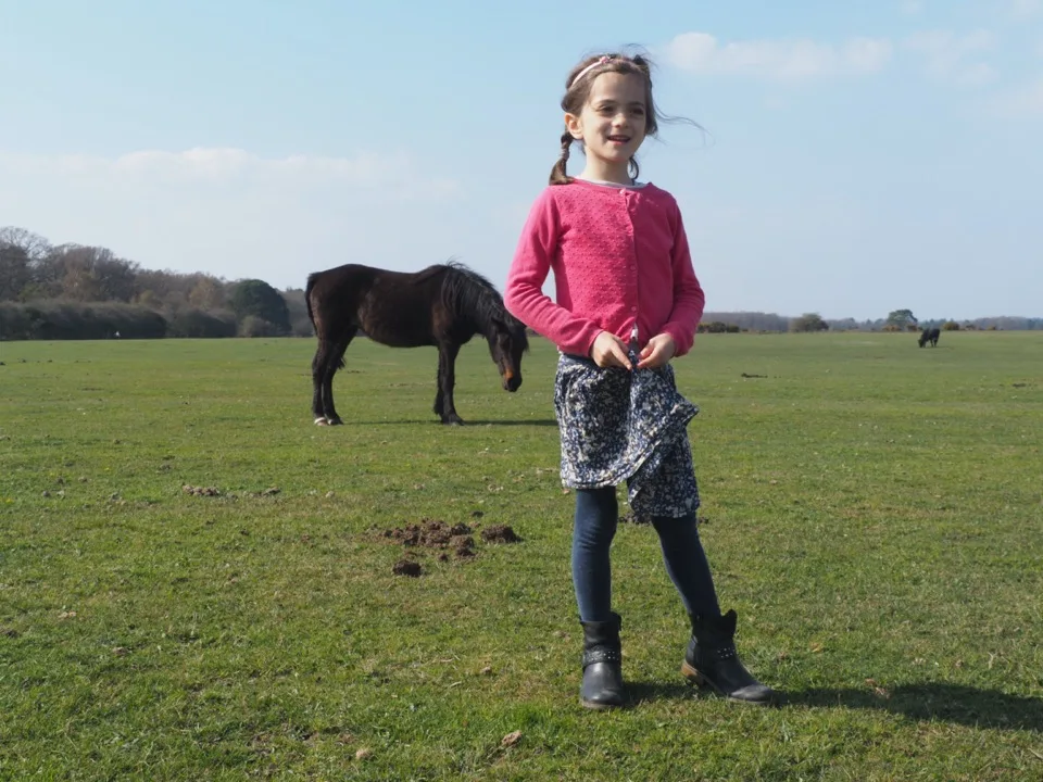 best family walk in new forest