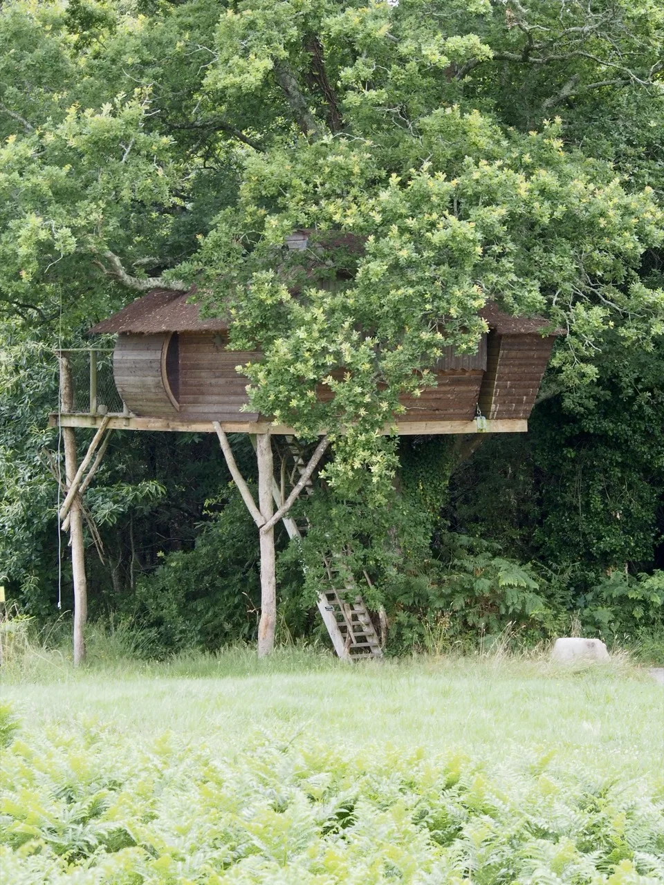 cabanes dans les arbres