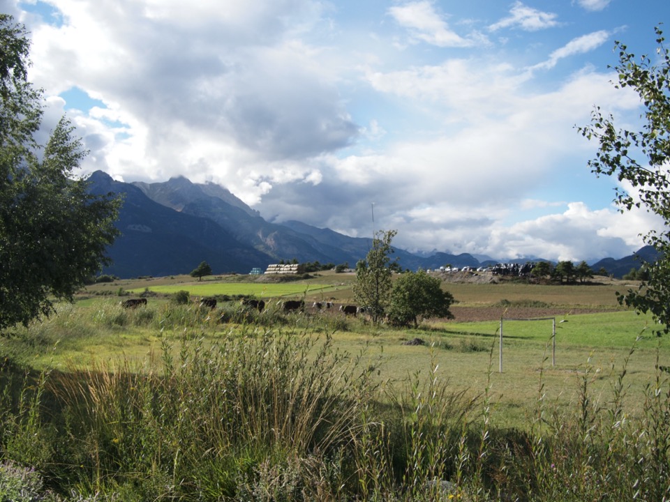 les alpes en été