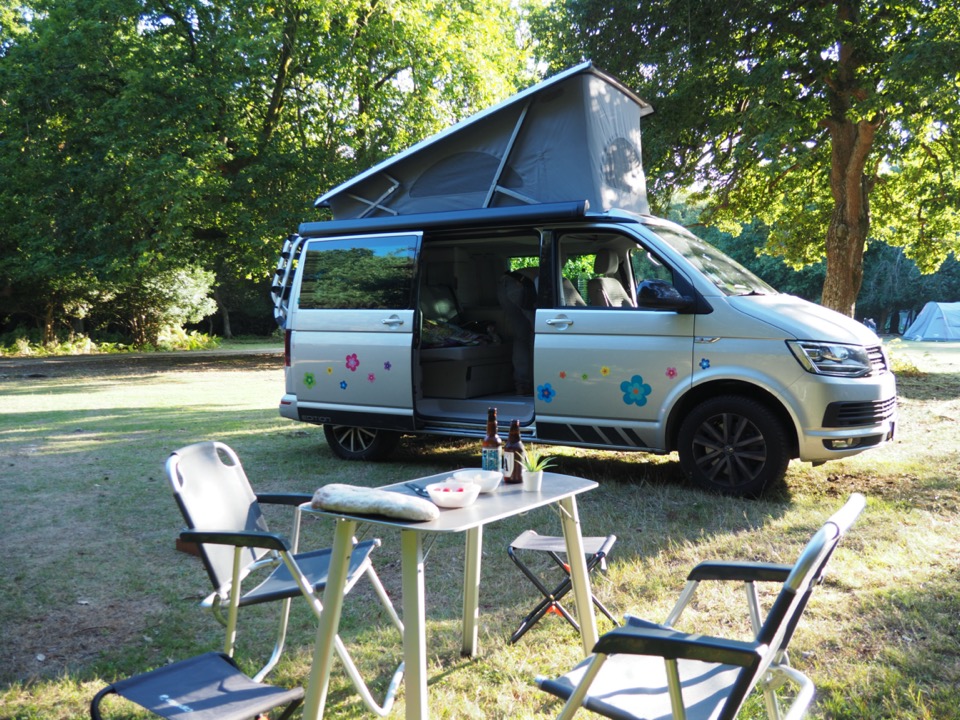 camping in the new forest