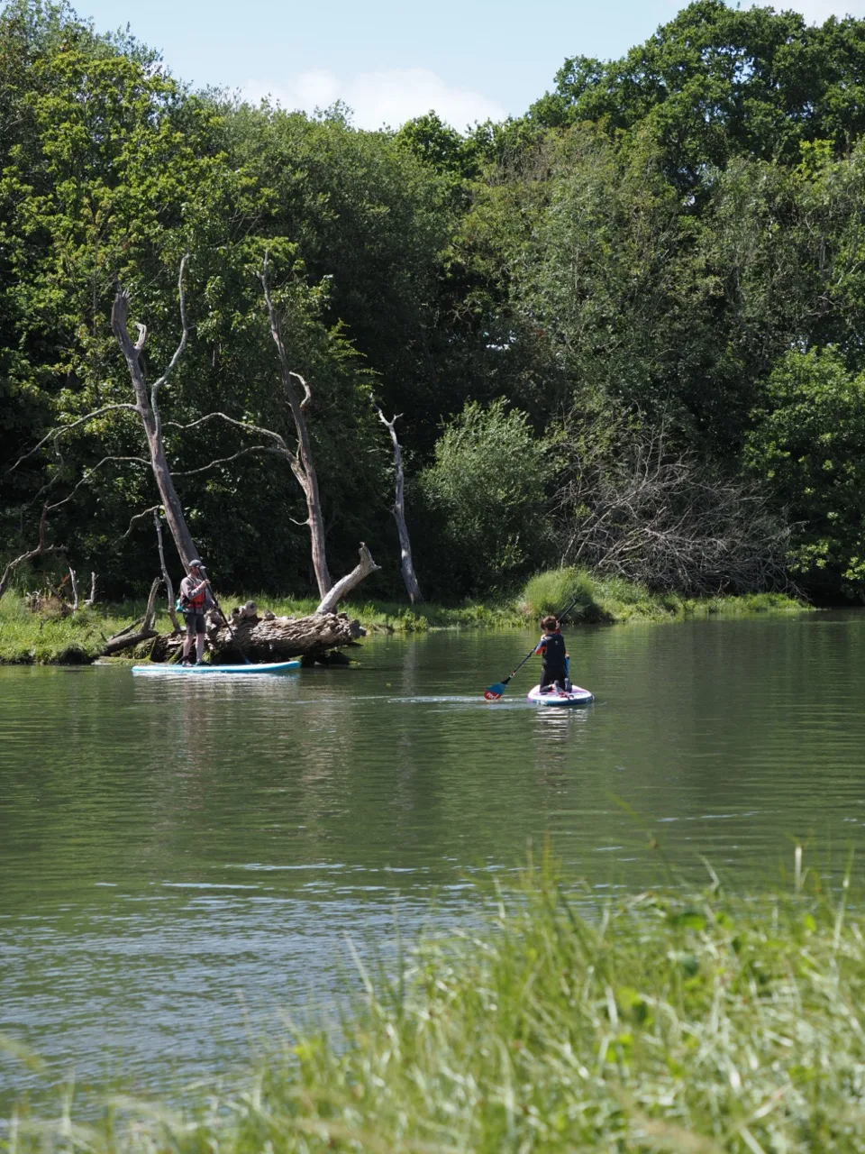 stand up paddle en famille