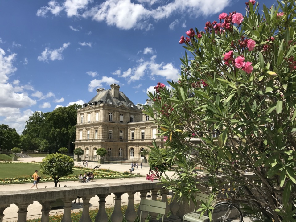 jardin du luxembourg