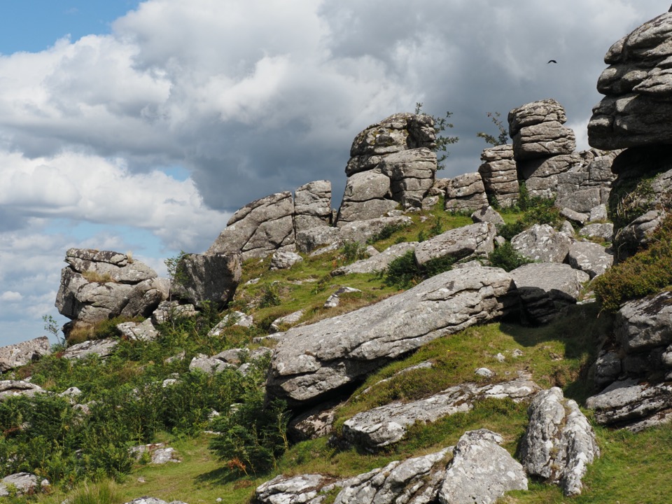Dartmoor national park