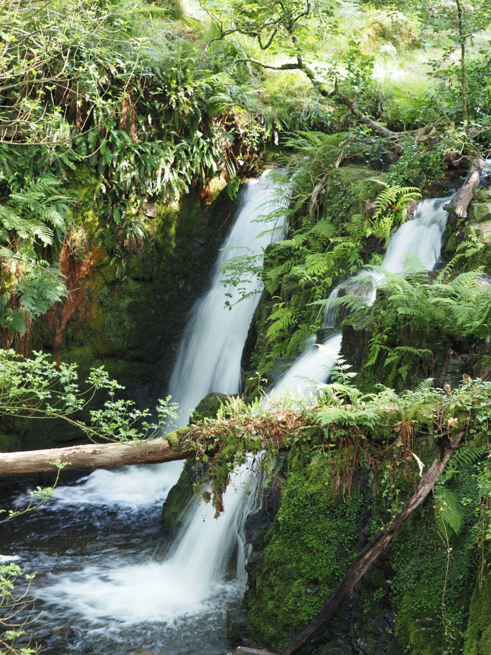 Dartmoor national park