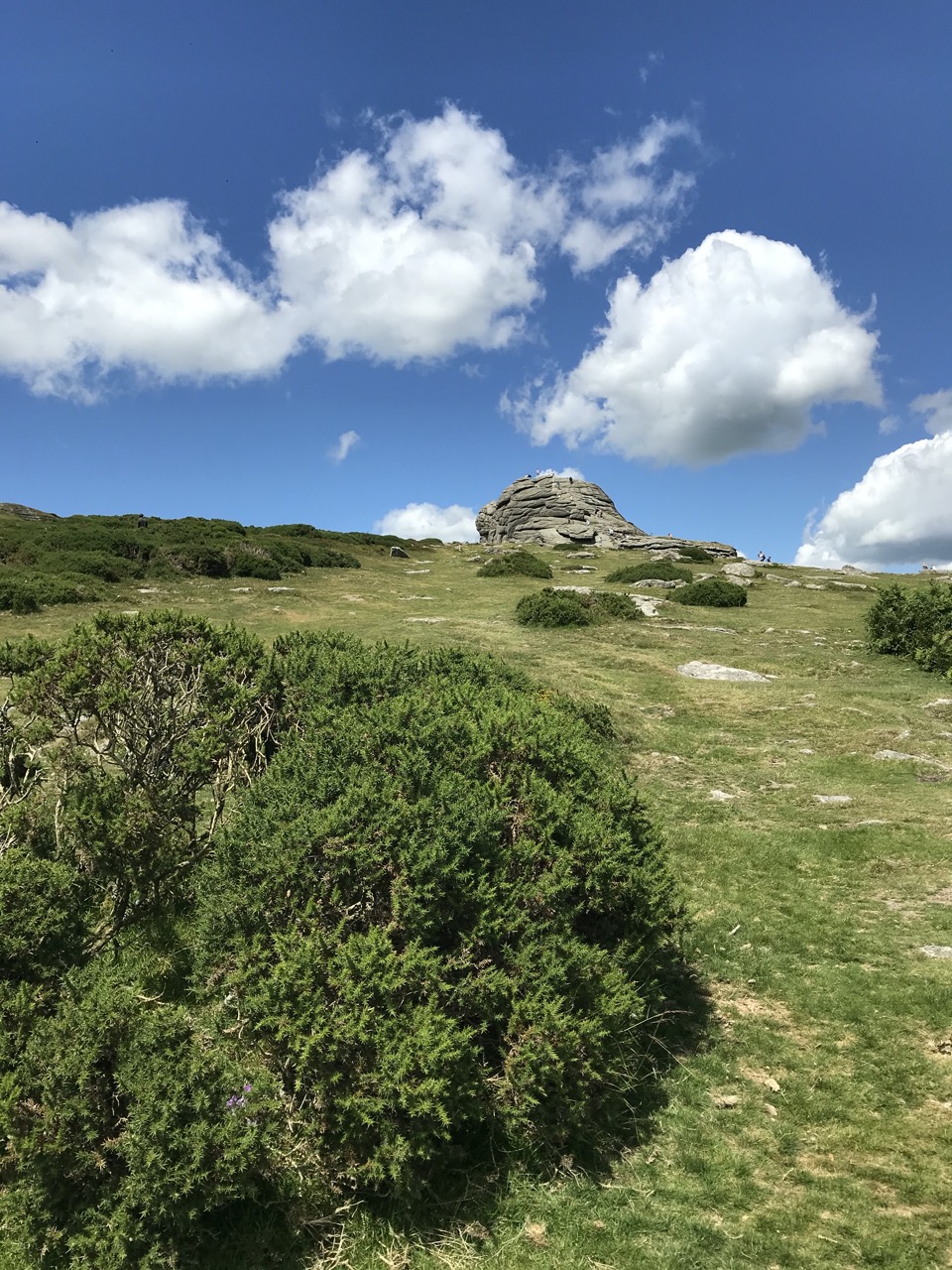 Dartmoor national park