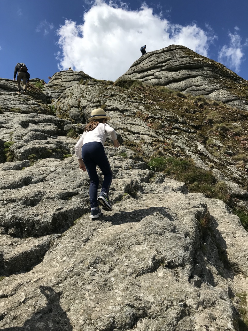 Dartmoor national park