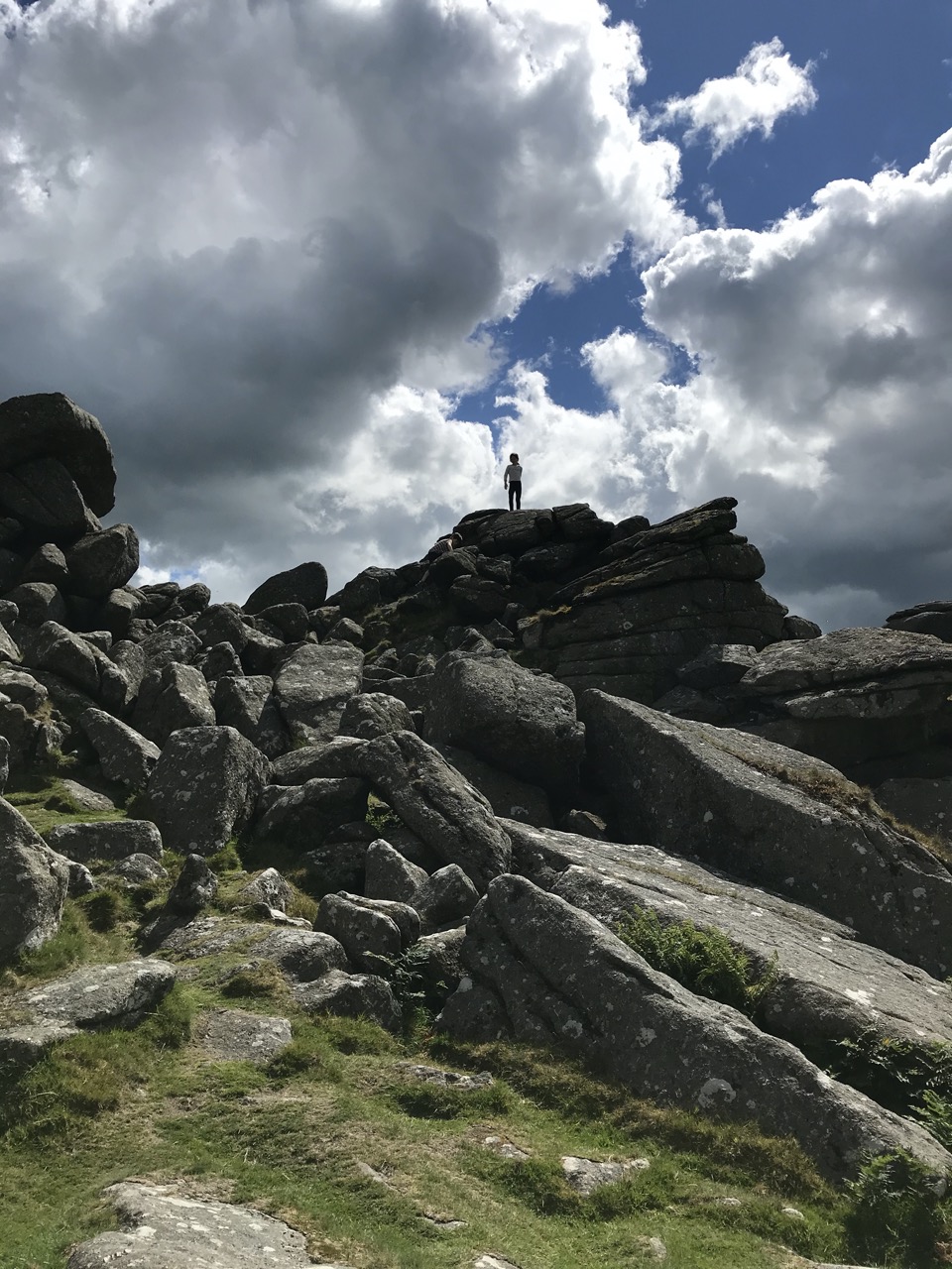 Dartmoor national park