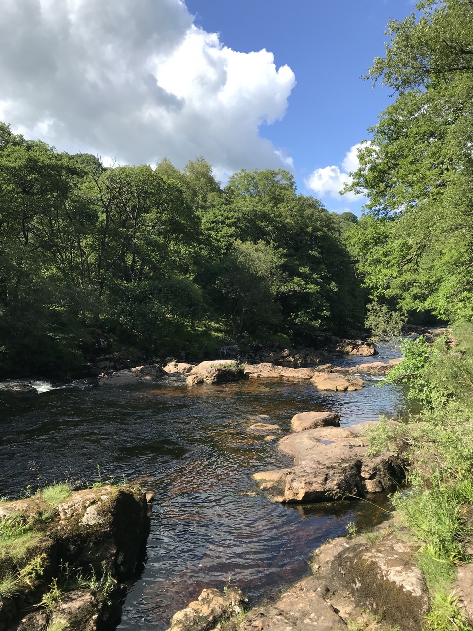 Dartmoor national park