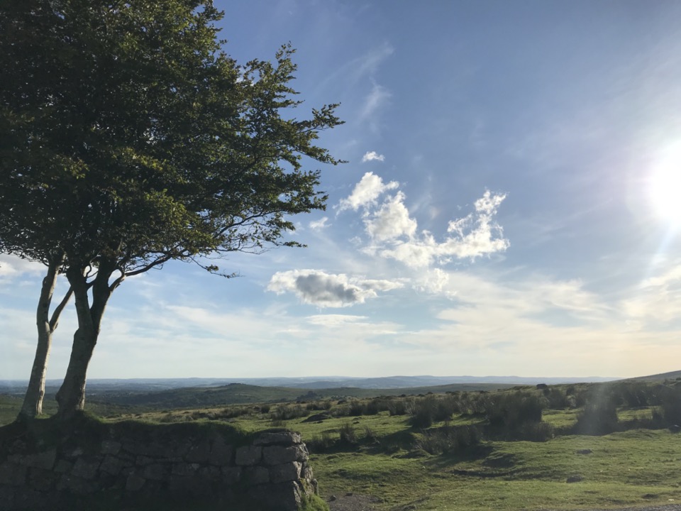 Dartmoor national park
