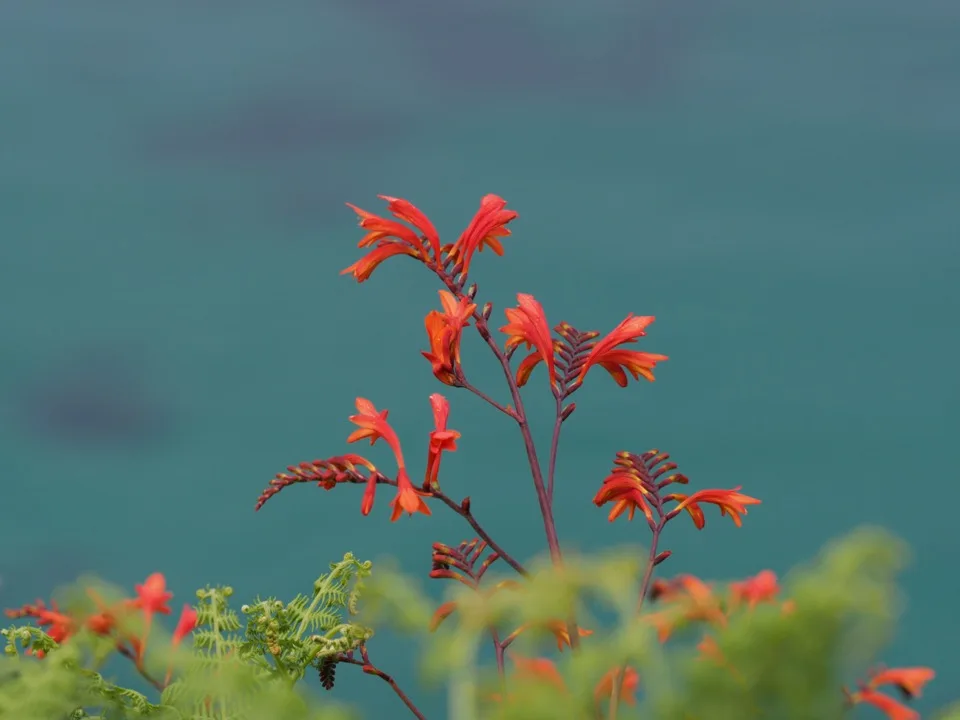 une semaine en Cornouailles