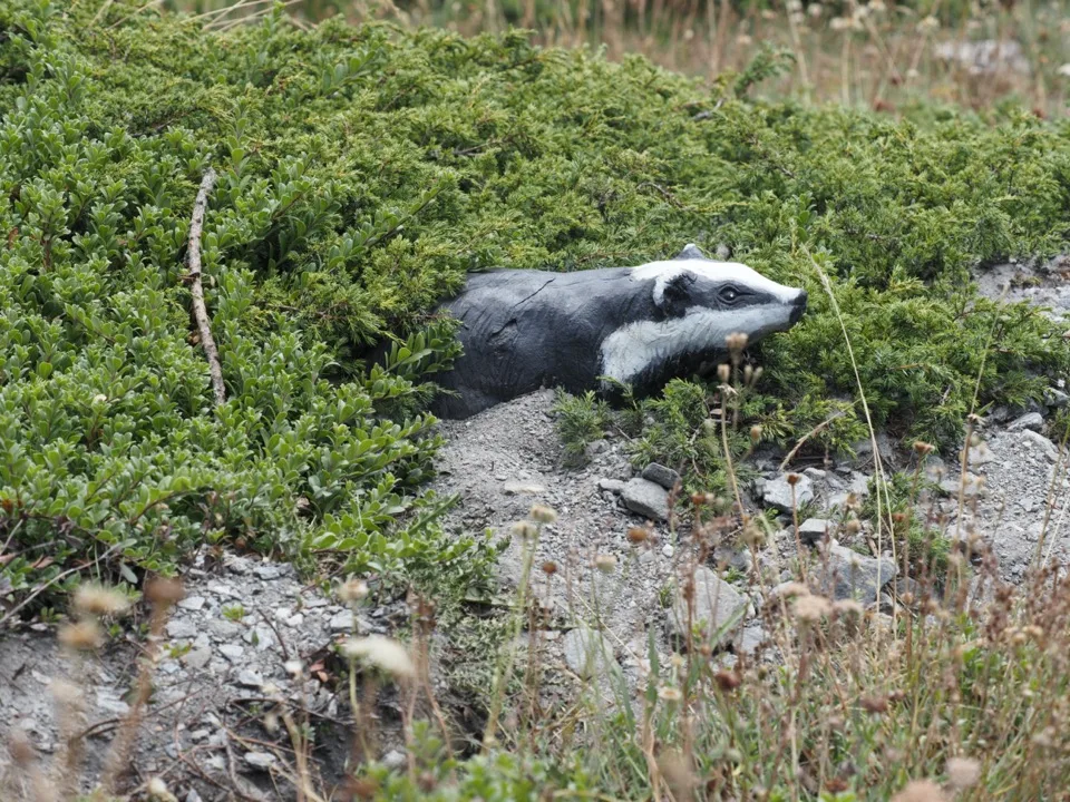 Randonnées en famille dans le Val d'Aoste
