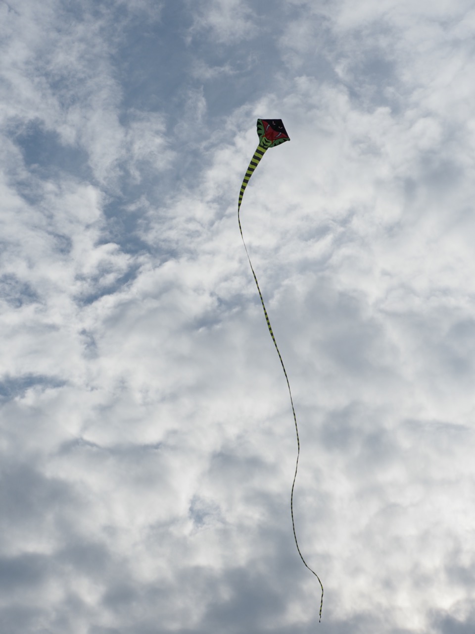 cerf volant