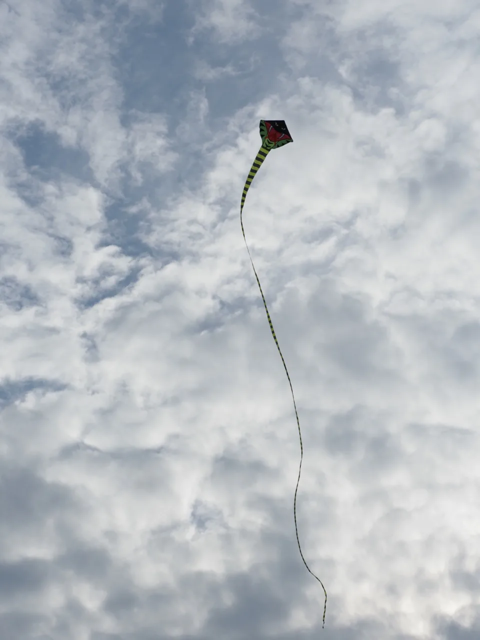 cerf volant